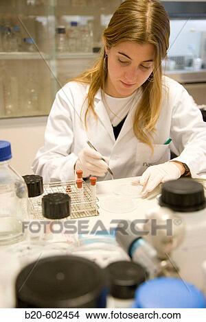Surface Functionalization, Biological test laboratory. Fundacion Inasmet-Tecnalia. Donostia, San Sebastian, Euskadi. Spain. View Large Photo Image Picture - Surface Functionalization, Biological test laboratory. Fundacion Inasmet-Tecnalia. Donostia, San Sebastian, Euskadi. Spain.. Fotosearch