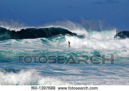 Surfer on wave, Sunset Beach, North Shore, Oahu, Hawaii, USA View Large Photo Image Stock Photo - Surfer on wave, Sunset Beach, North Shore, Oahu, Hawaii, USA. Fotosearch