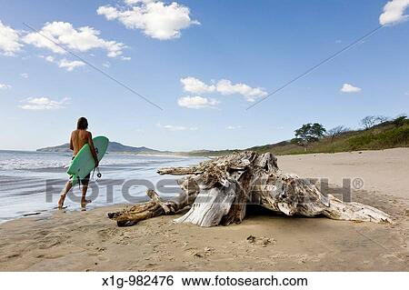 Surfer walking on the shore of Playa Grande in Costa Rica View Large Photo Image Stock Photograph - Surfer walking on the shore of Playa Grande in Costa Rica. Fotosearch