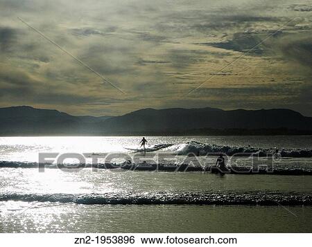 surfers in the sunset, Byron Bay, Australia. View Large Photo Image Stock Photograph - surfers in the sunset, Byron Bay, Australia.. Fotosearch