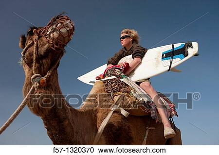 Stock Image - Surfers on Camels in Sidi Kaouki, Morocco. Fotosearch