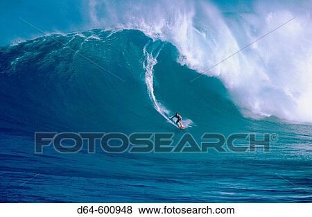 Surfing? Jaws?, a 30? wave on the north shore of Maui, Hawaii View Large Photo Image Stock Photo - Surfing? Jaws?, a 30? wave on the north shore of Maui, Hawaii. Fotosearch