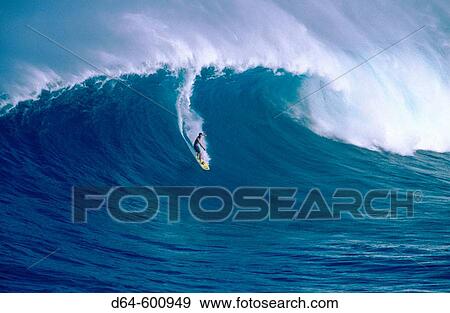 Stock Photo - Surfing? Jaws?, a 30? wave on the north shore of Maui, Hawaii. Fotosearch