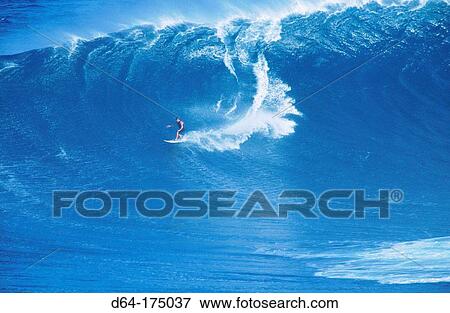 Surfing. Maui. Hawaii View Large Photo Image Stock Photo - Surfing. Maui. Hawaii. Fotosearch