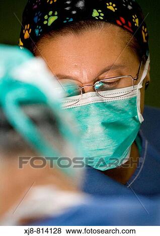 Stock Photo - Surgeon. Hospital Universitario de Gran Canaria Doctor Negrin, Las Palmas de Gran Canaria. Canary Islands, Spain. Fotosearch