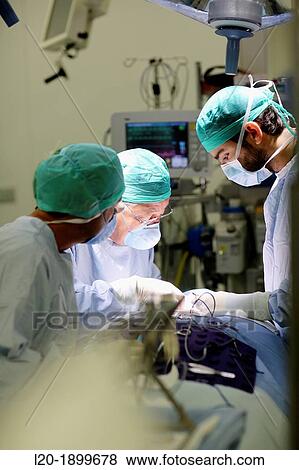 Surgeon, Surgery, Operating room, Onkologikoa Hospital, Oncology Institute, Case Center for prevention, diagnosis and treatment of cancer, Donostia, San Sebastian, Gipuzkoa, Basque Country, Spain View Large Photo Image Stock Photo - Surgeon, Surgery, Operating room, Onkologikoa Hospital, Oncology Institute, Case Center for prevention, diagnosis and treatment of cancer, Donostia, San Sebastian, Gipuzkoa, Basque Country, Spain. Fotosearch