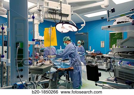 Surgery preparation, Abdominal Hernia Surgery, General Emergency Surgery, Operating Theatre, Donostia Hospital, San Sebastian, Donostia, Gipuzkoa, Basque Country, Spain View Large Photo Image Stock Photograph - Surgery preparation, Abdominal Hernia Surgery, General Emergency Surgery, Operating Theatre, Donostia Hospital, San Sebastian, Donostia, Gipuzkoa, Basque Country, Spain. Fotosearch
