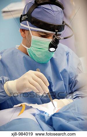 Surgical removal of the adenoids, otorhinolaryngology operating room. Hospital Policlinica Gipuzkoa, San Sebastian, Donostia, Euskadi, Spain View Large Photo Image Stock Photo - Surgical removal of the adenoids, otorhinolaryngology operating room. Hospital Policlinica Gipuzkoa, San Sebastian, Donostia, Euskadi, Spain. Fotosearch