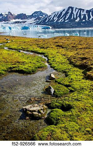 Svalbard archipelago, Arctic, Norway View Large Photo Image Stock Photograph - Svalbard archipelago, Arctic, Norway. Fotosearch