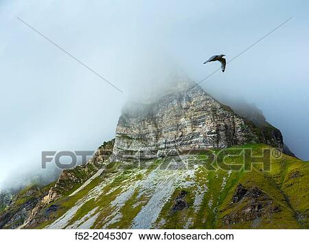 Svalbard Islands, Artic Ocean, Norway, Europe. View Large Photo Image Stock Photo - Svalbard Islands, Artic Ocean, Norway, Europe.. Fotosearch