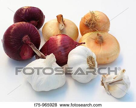 Sweet onions, peppers onions and garlic View Large Photo Image Stock Photo - Sweet onions, peppers onions and garlic. Fotosearch