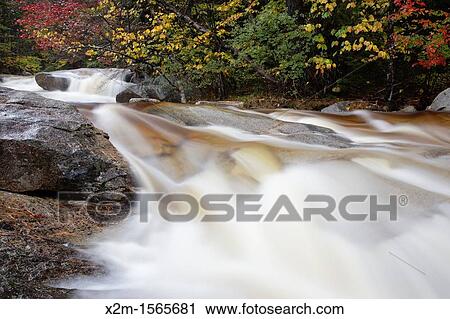 Swift River in the White Mountain National Forest of New Hampshire USA during the autumn months View Large Photo Image Stock Image - Swift River in the White Mountain National Forest of New Hampshire USA during the autumn months. Fotosearch