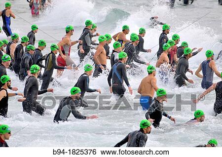 Swimming, triathlon competition, Barcelona, Catalonia, Spain View Large Photo Image Stock Photograph - Swimming, triathlon competition, Barcelona, Catalonia, Spain. Fotosearch
