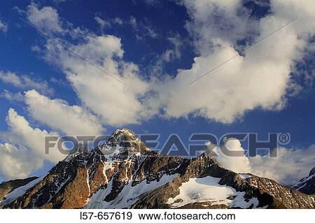 Swiss Alps, Fleckistock, 3416 m, Stucklistock, Sustenpass, in summer, Uri, Schweiz View Large Photo Image Stock Photo - Swiss Alps, Fleckistock, 3416 m, Stucklistock, Sustenpass, in summer, Uri, Schweiz. Fotosearch