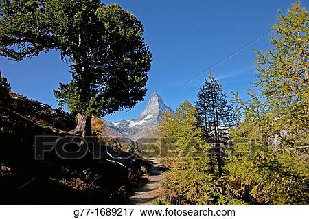 Switzerland Canton Valais Zermatt The Matterhorn. View Large Photo Image Stock Photo - Switzerland Canton Valais Zermatt The Matterhorn.. Fotosearch