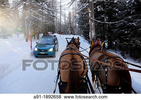 Switzerland, The Graubunden canton, Sils Maria village, Gian Coretti two horses carriage barouche View Large Photo Image Stock Photo - Switzerland, The Graubunden canton, Sils Maria village, Gian Coretti two horses carriage barouche. Fotosearch