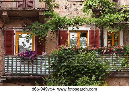 Switzerland, Ticino, Lake Lugano, Carona, garden detail View Large Photo Image Picture - Switzerland, Ticino, Lake Lugano, Carona, garden detail. Fotosearch