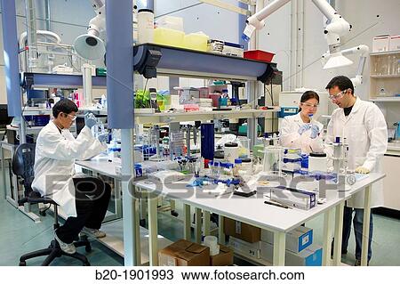 Synthesis Laboratory, CIC nanoGUNE, Nano science Cooperative Research Center, Donostia, San Sebastian, Gipuzkoa, Basque Country, Spain View Large Photo Image Stock Image - Synthesis Laboratory, CIC nanoGUNE, Nano science Cooperative Research Center, Donostia, San Sebastian, Gipuzkoa, Basque Country, Spain. Fotosearch