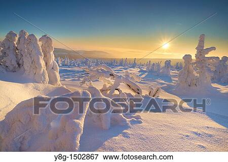 Szrenica in winter, Karkonosze National Park, Poland, Europe View Large Photo Image Stock Photo - Szrenica in winter, Karkonosze National Park, Poland, Europe. Fotosearch