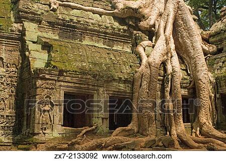 Ta Prohm Temple. View Large Photo Image Stock Image - Ta Prohm Temple.. Fotosearch