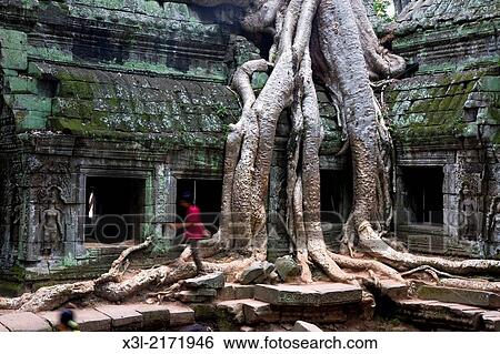 Ta Prom temple. Angkor site. Cambodia. View Large Photo Image Stock Photograph - Ta Prom temple. Angkor site. Cambodia.. Fotosearch