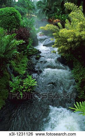 Tabacon Spa Arenal volcano Costa Rica View Large Photo Image Stock Photograph - Tabacon Spa Arenal volcano Costa Rica. Fotosearch