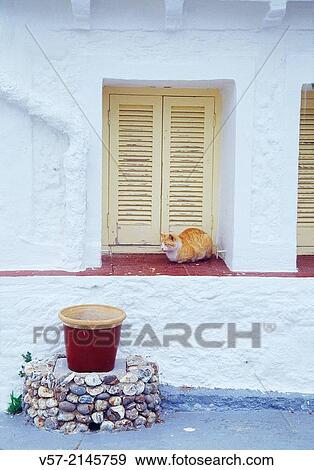 Tabby cat sleeping on a closed window. Menorca. View Large Photo Image Stock Photo - Tabby cat sleeping on a closed window. Menorca.. Fotosearch