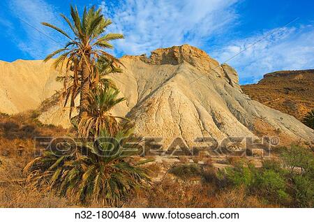 Picture - Tabernas Desert Natural Park, Tabernas, Almeria Province, Andalusia, Spain. Fotosearch