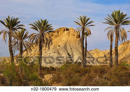Stock Photo - Tabernas Desert Natural Park, Tabernas, Almeria Province, Andalusia, Spain. Fotosearch