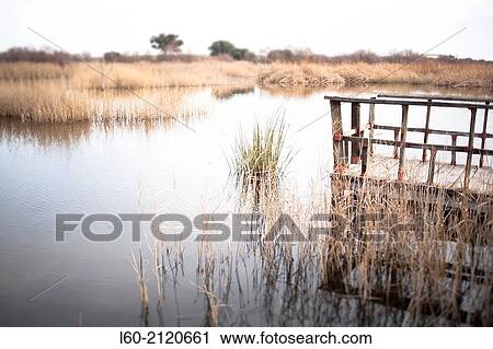 Stock Image - Tablas de Daimiel, Castile-La Mancha, Spain.. Fotosearch