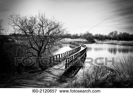 Tablas de Daimiel, Castile-La Mancha, Spain. View Large Photo Image Stock Photo - Tablas de Daimiel, Castile-La Mancha, Spain.. Fotosearch
