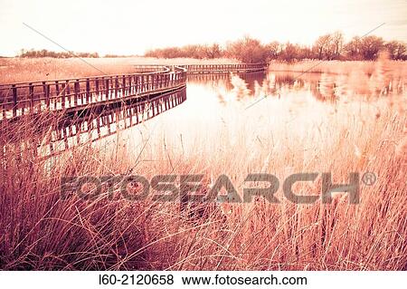 Tablas de Daimiel, Castile-La Mancha, Spain. View Large Photo Image Stock Photo - Tablas de Daimiel, Castile-La Mancha, Spain.. Fotosearch