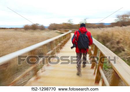Stock Image - Tablas de Daimiel National Park, Ciudad Real, Castila La Mancha, Spain.. Fotosearch
