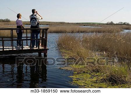 Stock Image - Tablas de Daimiel National Park, Ciudad Real, La Mancha, Spain.. Fotosearch
