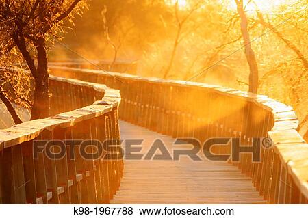 Stock Photo - Tablas de Daimiel National Park, Ciudad Real, Castilla-La Mancha, Spain, europe.. Fotosearch