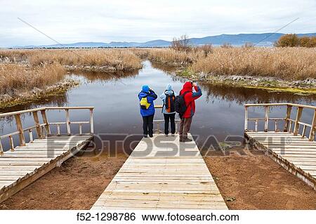 Tablas de Daimiel National Park, Ciudad Real, Castile-La Mancha, Spain. View Large Photo Image Stock Photograph - Tablas de Daimiel National Park, Ciudad Real, Castile-La Mancha, Spain.. Fotosearch