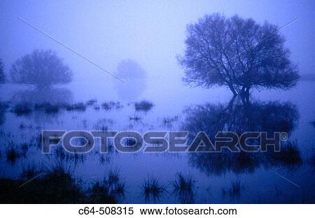 Tablas de Daimiel National Park. Ciudad Real province. Castilla-La Mancha. Spain View Large Photo Image Stock Photography - Tablas de Daimiel National Park. Ciudad Real province. Castilla-La Mancha. Spain. Fotosearch
