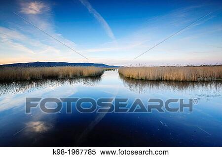 Stock Photography - Tablas de Daimiel National Park, Ciudad Real, Castilla-La Mancha, Spain, europe.. Fotosearch