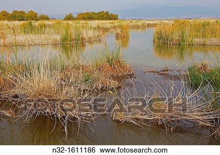 Tablas de Daimiel National Park, Daimiel, Ciudad Real province, Castilla-La Mancha, Spain View Large Photo Image Stock Photograph - Tablas de Daimiel National Park, Daimiel, Ciudad Real province, Castilla-La Mancha, Spain. Fotosearch