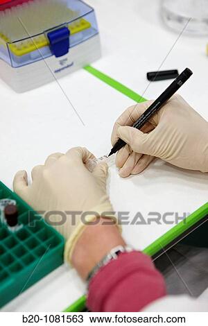 Tagging samples, Laboratory of Nanobiotechnology, CIC nanoGUNE, Nanoscience Cooperative Research Center, San Sebastian, Gipuzkoa, Euskadi, Spain View Large Photo Image Stock Image - Tagging samples, Laboratory of Nanobiotechnology, CIC nanoGUNE, Nanoscience Cooperative Research Center, San Sebastian, Gipuzkoa, Euskadi, Spain. Fotosearch