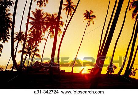 Tahiti island in the Windward islands. Society archipelago. French Polynesia View Large Photo Image Picture - Tahiti island in the Windward islands. Society archipelago. French Polynesia. Fotosearch
