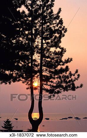 Stock Image - Tahoe lake Sierra Nevada California United States. Fotosearch