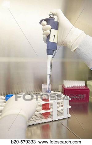Taking samples from a T75 flask in biological safety cabinet. Laboratory, Fundaci? n Inbiomed, Genetrix Group. Center for research in stem cells and regenerative medicine. Donostia, San Sebastian, Euskadi. Spain. View Large Photo Image Stock Image - Taking samples from a T75 flask in biological safety cabinet. Laboratory, Fundaci? n Inbiomed, Genetrix Group. Center for research in stem cells and regenerative medicine. Donostia, San Sebastian, Euskadi. Spain.. Fotosearch