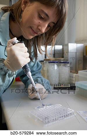 Taking samples in 96-Well tissue culture dish with micropipette for analysing in microscope. Laboratory, Fundaci? n Inbiomed, Genetrix Group. Center for research in stem cells and regenerative medicine. Donostia, San Sebastian, Euskadi. Spain. View Large Photo Image Picture - Taking samples in 96-Well tissue culture dish with micropipette for analysing in microscope. Laboratory, Fundaci? n Inbiomed, Genetrix Group. Center for research in stem cells and regenerative medicine. Donostia, San Sebastian, Euskadi. Spain.. Fotosearch