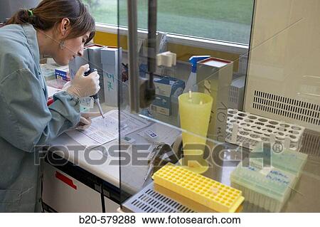 Taking samples in cell cultures. Laboratory, Fundaci? n Inbiomed, Genetrix Group. Center for research in stem cells and regenerative medicine. Donostia, San Sebastian, Euskadi. Spain. View Large Photo Image Stock Photo - Taking samples in cell cultures. Laboratory, Fundaci? n Inbiomed, Genetrix Group. Center for research in stem cells and regenerative medicine. Donostia, San Sebastian, Euskadi. Spain.. Fotosearch