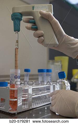 Taking samples with pipetus in laminar flow hood. Laboratory, Fundaci? n Inbiomed, Genetrix Group. Center for research in stem cells and regenerative medicine. Donostia, San Sebastian, Euskadi. Spain. View Large Photo Image Stock Image - Taking samples with pipetus in laminar flow hood. Laboratory, Fundaci? n Inbiomed, Genetrix Group. Center for research in stem cells and regenerative medicine. Donostia, San Sebastian, Euskadi. Spain.. Fotosearch