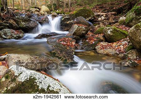 Talford Brook during the autumn months in Thornton, New Hampshire USA. View Large Photo Image Stock Image - Talford Brook during the autumn months in Thornton, New Hampshire USA.. Fotosearch