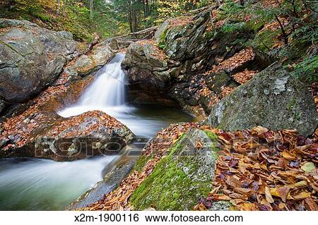 Talford Brook during the autumn months in Thornton, New Hampshire USA View Large Photo Image Stock Photograph - Talford Brook during the autumn months in Thornton, New Hampshire USA. Fotosearch