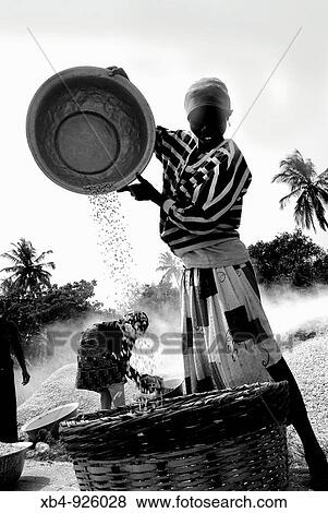 Tamberma tribe, Atakora mountains, Togo View Large Photo Image Stock Photo - Tamberma tribe, Atakora mountains, Togo. Fotosearch