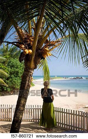 Tangalle Bay, Sri Lanka View Large Photo Image Stock Image - Tangalle Bay, Sri Lanka. Fotosearch